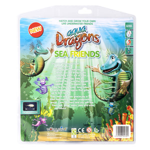 Book: Sea Friends with Special Edition Aqua Dragons kit