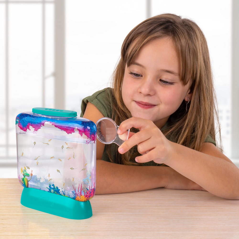 Aqua dragons top underwater world